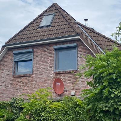 Aussenliegende Rollos mit Insektenschutz
